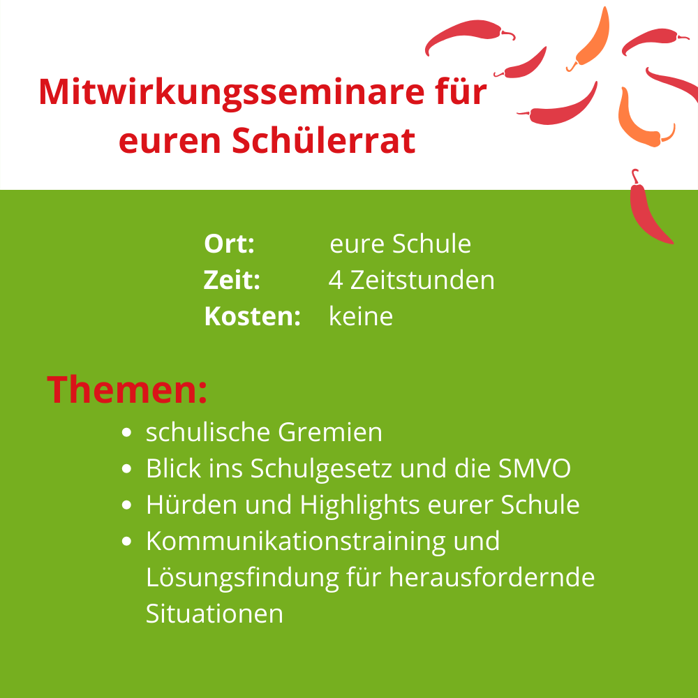 Mitwirkungsseminare-fuer-den-Schuelerrat